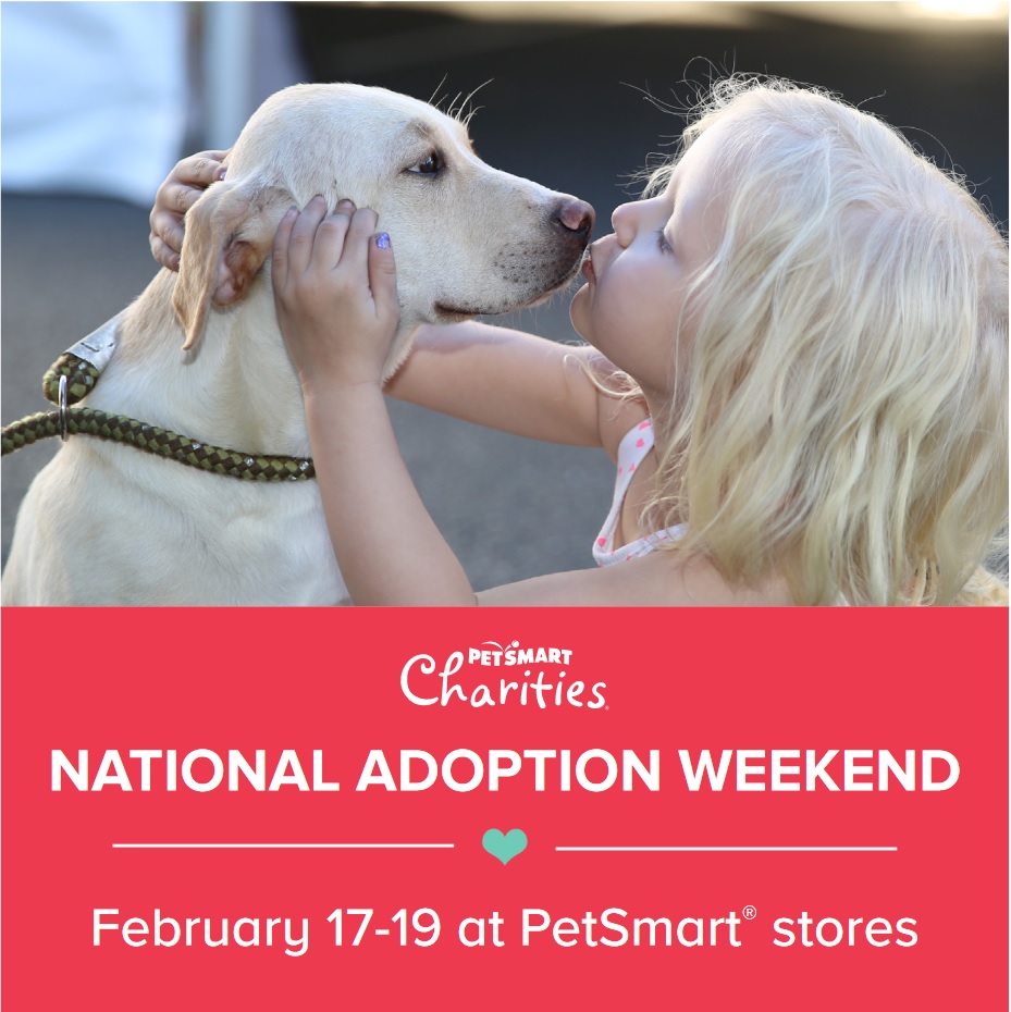 PetSmart Pet Adoption Weekend In Charlotte Feb 1719